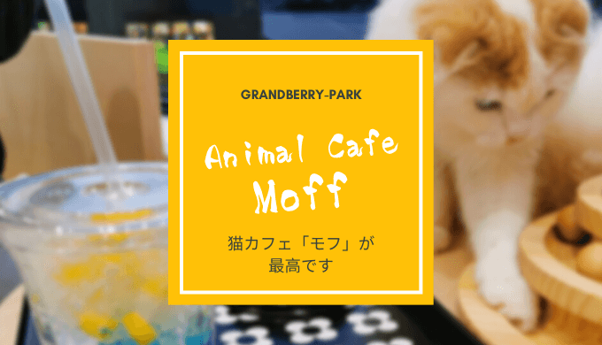 南町田グランベリーパークの猫カフェ